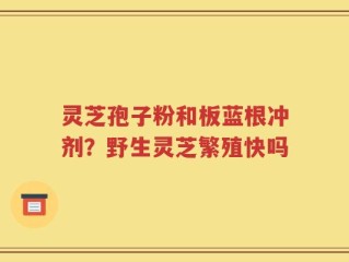 灵芝孢子粉和板蓝根冲剂？野生灵芝繁殖快吗