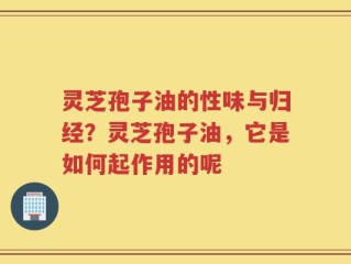 灵芝孢子油的性味与归经？灵芝孢子油，它是如何起作用的呢