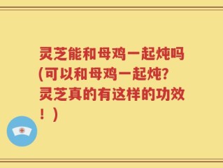 灵芝能和母鸡一起炖吗(可以和母鸡一起炖？灵芝真的有这样的功效！)