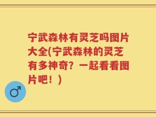 宁武森林有灵芝吗图片大全(宁武森林的灵芝有多神奇？一起看看图片吧！)