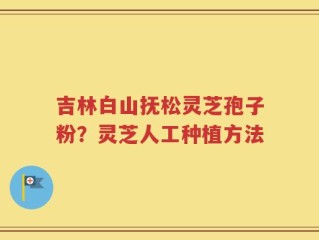 吉林白山抚松灵芝孢子粉？灵芝人工种植方法