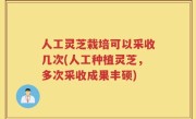 人工灵芝栽培可以采收几次(人工种植灵芝，多次采收成果丰硕)