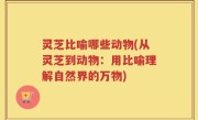 灵芝比喻哪些动物(从灵芝到动物：用比喻理解自然界的万物)