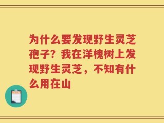 为什么要发现野生灵芝孢子？我在洋槐树上发现野生灵芝，不知有什么用在山