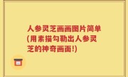 人参灵芝画画图片简单(用素描勾勒出人参灵芝的神奇画面!)