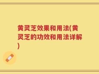 黄灵芝效果和用法(黄灵芝的功效和用法详解)