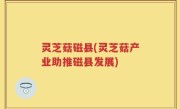 灵芝菇磁县(灵芝菇产业助推磁县发展)
