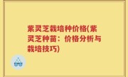 紫灵芝栽培种价格(紫灵芝种苗：价格分析与栽培技巧)