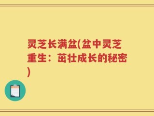 灵芝长满盆(盆中灵芝重生：茁壮成长的秘密)