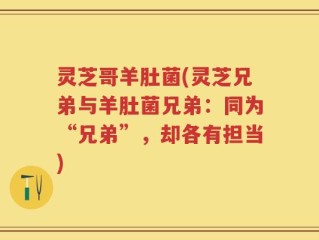 灵芝哥羊肚菌(灵芝兄弟与羊肚菌兄弟：同为“兄弟”，却各有担当)