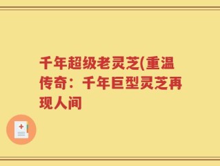 千年超级老灵芝(重温传奇：千年巨型灵芝再现人间