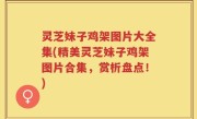 灵芝妹子鸡架图片大全集(精美灵芝妹子鸡架图片合集，赏析盘点！)