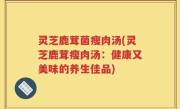 灵芝鹿茸菌瘦肉汤(灵芝鹿茸瘦肉汤:健康又美味的养生佳品)