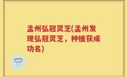 孟州弘冠灵芝(孟州发现弘冠灵芝，种植获成功名)