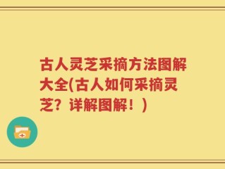 古人灵芝采摘方法图解大全(古人如何采摘灵芝？详解图解！)