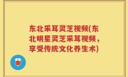 东北采耳灵芝视频(东北明星灵芝采耳视频，享受传统文化养生术)