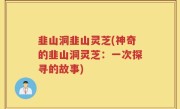 韭山洞韭山灵芝(神奇的韭山洞灵芝：一次探寻的故事)