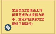 宝溪灵芝(宝溪山上珍稀灵芝成为抗疫强力助手，重点产区脱贫攻坚提供了新路径)
