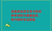 探索凯美灵芝孢子粉的神奇功效与健康益处，助力提升生活质量