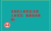 文莱的人参灵芝(文莱人参灵芝：健康秘诀揭晓)