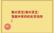 泰兴灵芝(泰兴灵芝：发掘中草药的无穷功效)