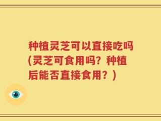 种植灵芝可以直接吃吗(灵芝可食用吗？种植后能否直接食用？)
