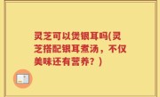 灵芝可以煲银耳吗(灵芝搭配银耳煮汤，不仅美味还有营养？)