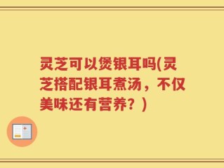 灵芝可以煲银耳吗(灵芝搭配银耳煮汤，不仅美味还有营养？)
