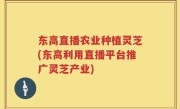 东高直播农业种植灵芝(东高利用直播平台推广灵芝产业)