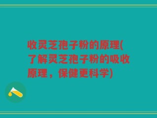 收灵芝孢子粉的原理(了解灵芝孢子粉的吸收原理，保健更科学)