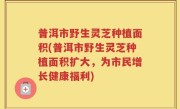 普洱市野生灵芝种植面积(普洱市野生灵芝种植面积扩大，为市民增长健康福利)