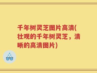千年树灵芝图片高清(壮观的千年树灵芝，清晰的高清图片)