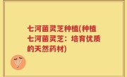 七河菌灵芝种植(种植七河菌灵芝：培育优质的天然药材)