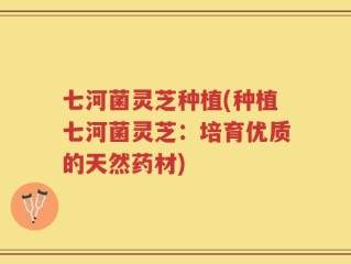 七河菌灵芝种植(种植七河菌灵芝：培育优质的天然药材)