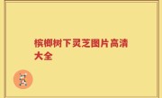 槟榔树下灵芝图片高清大全