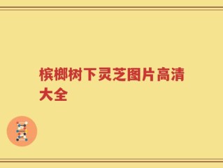 槟榔树下灵芝图片高清大全