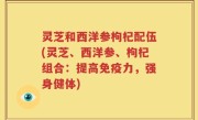 灵芝和西洋参枸杞配伍(灵芝、西洋参、枸杞组合：提高免疫力，强身健体)