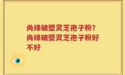 尚绿破壁灵芝孢子粉？尚绿破壁灵芝孢子粉好不好