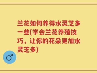兰花如何养得水灵芝多一些(学会兰花养殖技巧，让你的花朵更加水灵芝多)