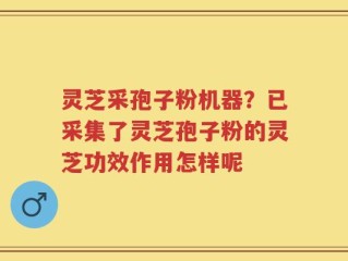 灵芝采孢子粉机器？已采集了灵芝孢子粉的灵芝功效作用怎样呢