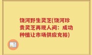 饶河野生灵芝(饶河珍贵灵芝再现人间：成功种植让市场供应充裕)