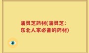 蒲灵芝药材(蒲灵芝：东北人家必备的药材)