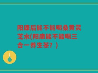 阳康后能不能喝桑黄灵芝水(阳康能不能喝三合一养生茶？)