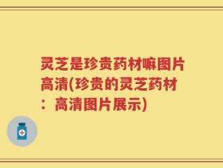 灵芝是珍贵药材嘛图片高清(珍贵的灵芝药材：高清图片展示)