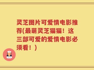灵芝图片可爱情电影推荐(最萌灵芝猫猫！这三部可爱的爱情电影必须看！)