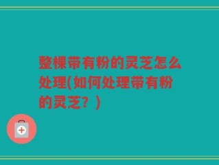 整棵带有粉的灵芝怎么处理(如何处理带有粉的灵芝？)