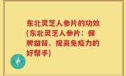 东北灵芝人参片的功效(东北灵芝人参片：健脾益肾、提高免疫力的好帮手)
