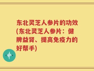 东北灵芝人参片的功效(东北灵芝人参片：健脾益肾、提高免疫力的好帮手)