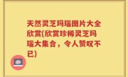 天然灵芝玛瑙图片大全欣赏(欣赏珍稀灵芝玛瑙大集合，令人赞叹不已)