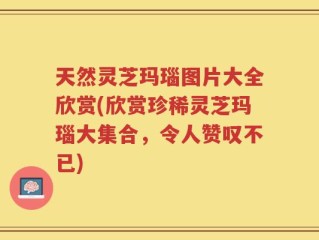 天然灵芝玛瑙图片大全欣赏(欣赏珍稀灵芝玛瑙大集合，令人赞叹不已)